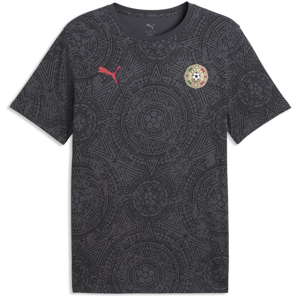 Puma Mexico 2026 Fanpack Graphic tee - men's | Soccer Center
