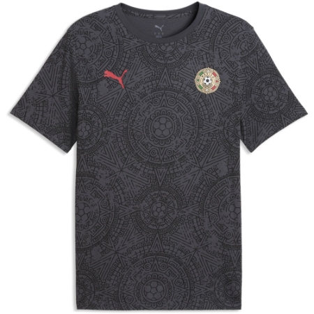 Mexico 2026 Fanpack Graphic tee - mens 