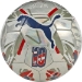 Puma mini soccer balls - 084909-02