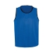 Scrimmage vest - royal
