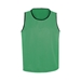 Scrimmage vest - kelly green