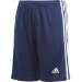 Squadra 21 short - youth - GN5765
