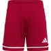 Squadra 25 short - men's - JN5469